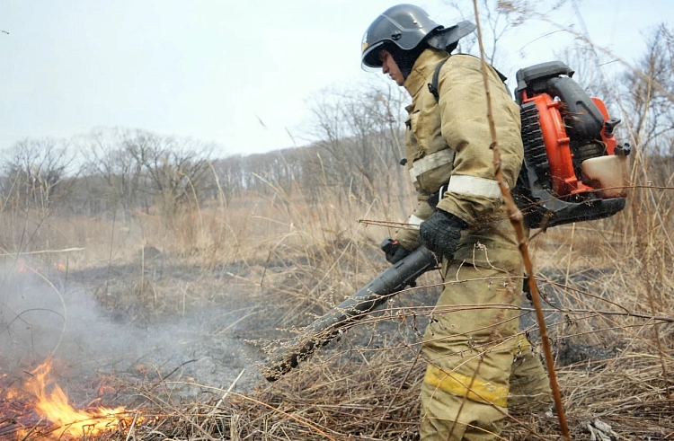 Более 600 тысяч рублей штрафов наложено на нарушителей пожароопасного периода в Приморье.