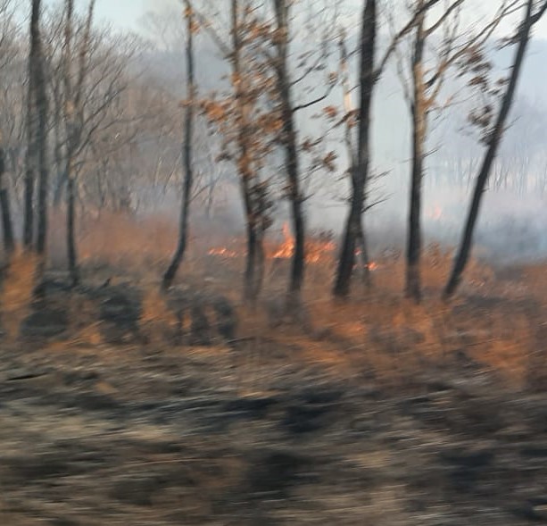 Изменены сроки начала пожароопасного сезона в Приморье.