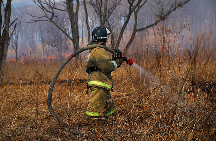 Шесть природных пожаров ликвидировали в Приморье.