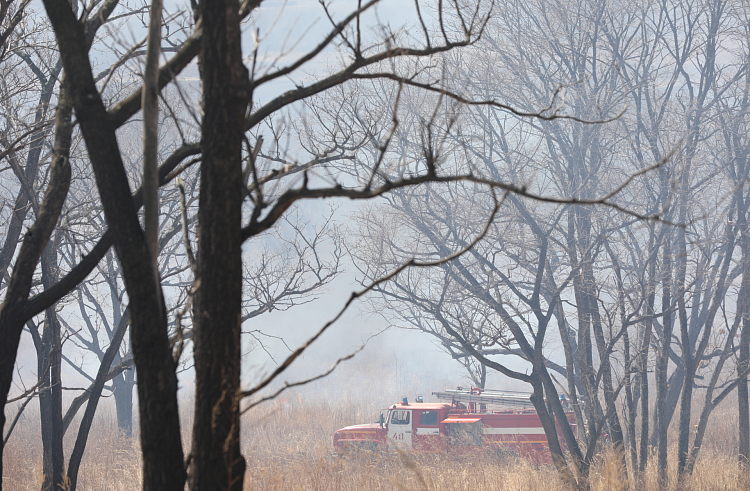Пять природных пожаров потушили в Приморье за сутки.
