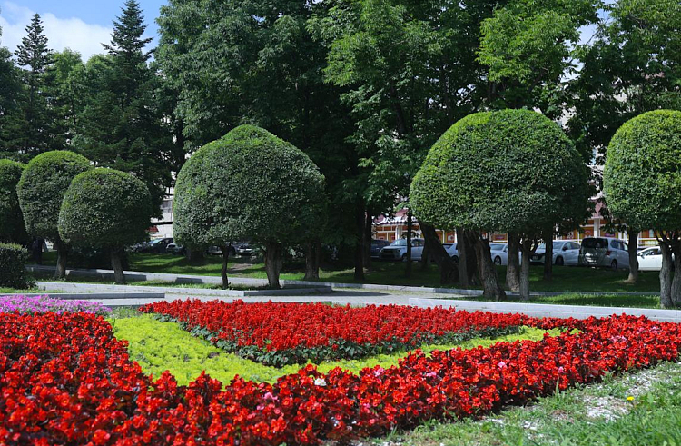 Более 600 общественных пространств благоустроили за пять лет в Приморье.