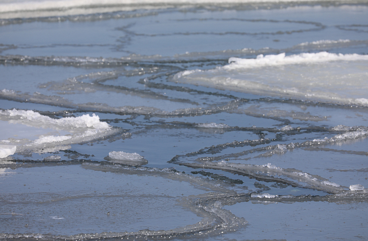 МинГОЧС Приморья: Похолодание не привело к укреплению льда.