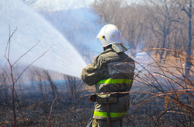 Лесные пожары потушили в трех муниципалитетах Приморья.