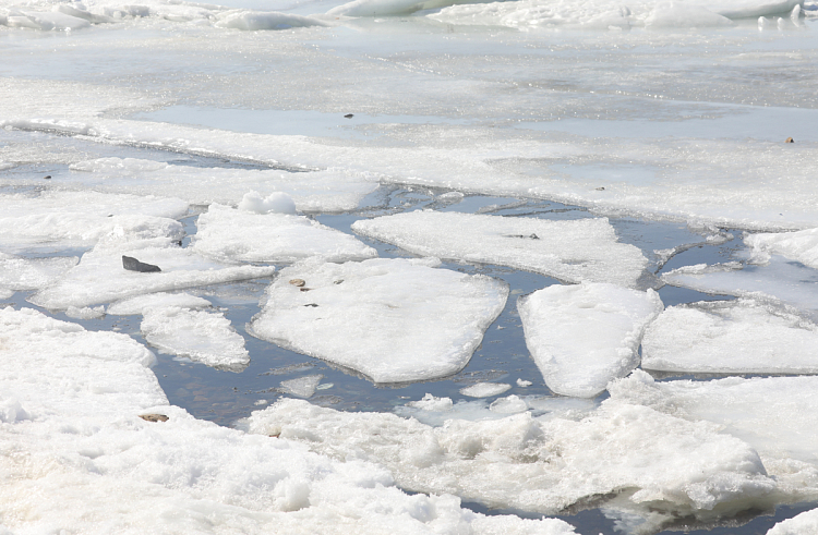 Приморских рыбаков предупреждают об опасности выхода на лед.