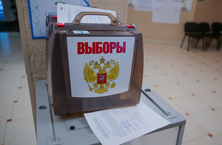 Адресное информирование избирателей о выборах Президента РФ проведут в Приморье.