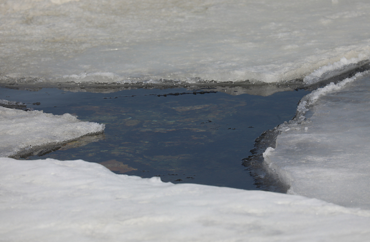 МинГОЧС Приморья: Выход на лед по-прежнему опасен для жизни.