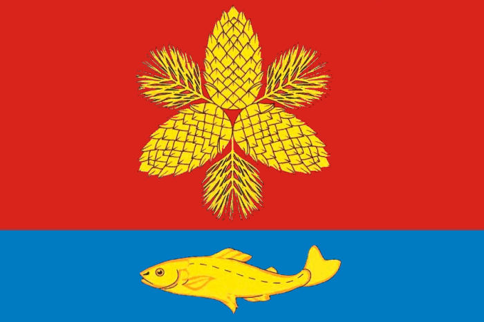Флаг Шкотовского муниципального района.