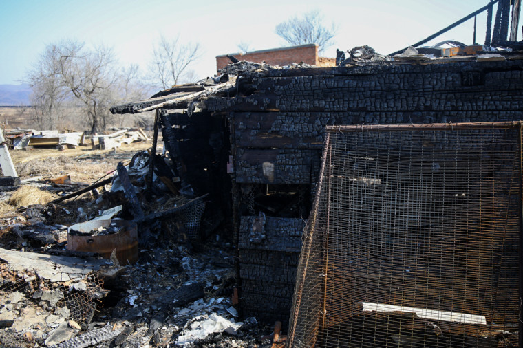 Почти 1,5 миллиона рублей выплат получили пострадавшие от пожаров в Шкотовском округе Приморья, сообщает www.primorsky.ru.